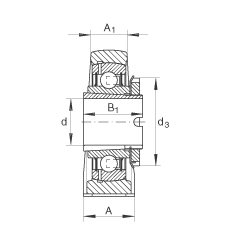 直立式軸承座單元 RASEA25-N, 鑄鐵軸承座，帶緊定套的外球面球軸承，R 型密封